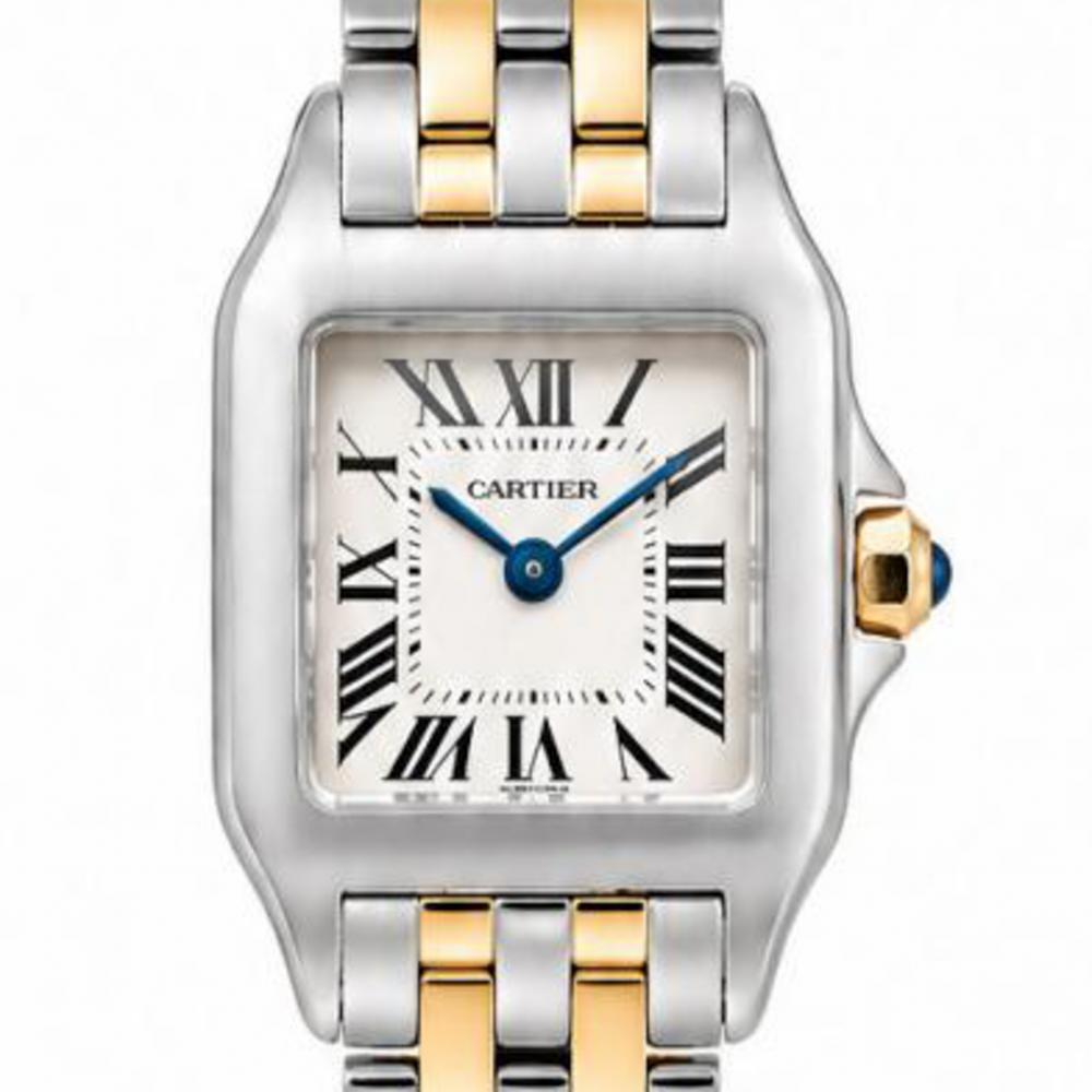 Santos de Cartier Demoiselle 20MM W25066Z6 18K/ Steel Watch